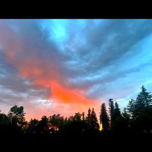 Meet your Posher, Ella